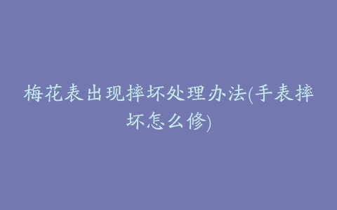 梅花表出现摔坏处理办法(手表摔坏怎么修)