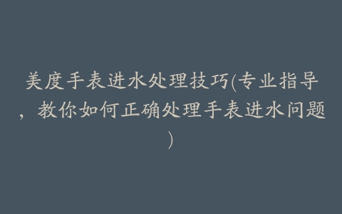 美度手表进水处理技巧(专业指导，教你如何正确处理手表进水问题)