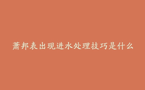 萧邦表出现进水处理技巧是什么