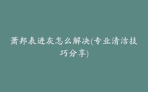 萧邦表进灰怎么解决(专业清洁技巧分享)