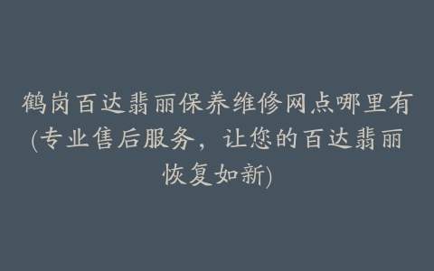 鹤岗百达翡丽保养维修网点哪里有(专业售后服务，让您的百达翡丽恢复如新)