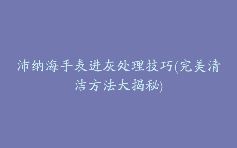 沛纳海手表进灰处理技巧(完美清洁方法大揭秘)