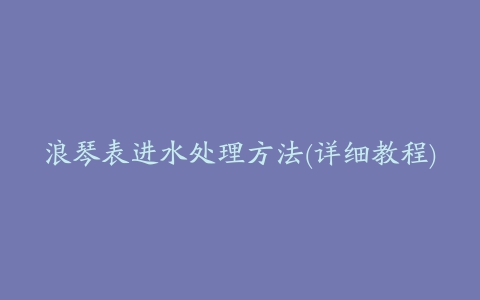 浪琴表进水处理方法(详细教程)