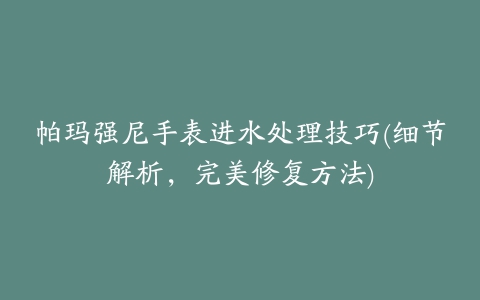 帕玛强尼手表进水处理技巧(细节解析，完美修复方法)