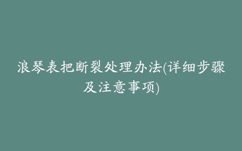 浪琴表把断裂处理办法(详细步骤及注意事项)