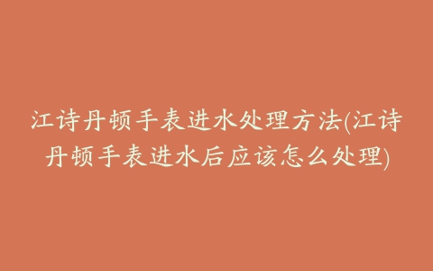 江诗丹顿手表进水处理方法(江诗丹顿手表进水后应该怎么处理)