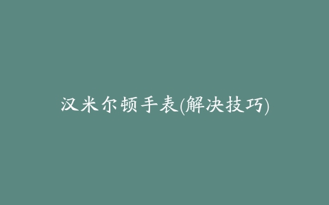 汉米尔顿手表(解决技巧)