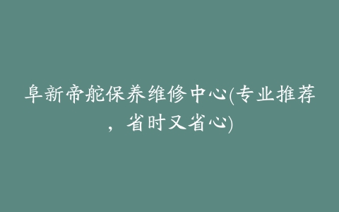 阜新帝舵保养维修中心(专业推荐，省时又省心)