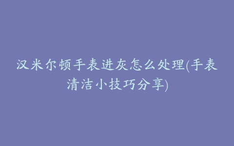 汉米尔顿手表进灰怎么处理(手表清洁小技巧分享)