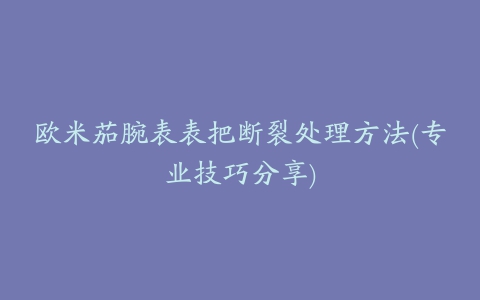 欧米茄腕表表把断裂处理方法(专业技巧分享)