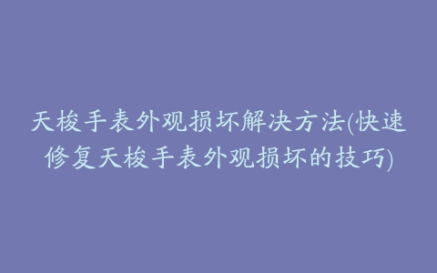 天梭手表外观损坏解决方法(快速修复天梭手表外观损坏的技巧)