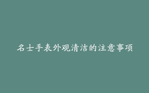 名士手表外观清洁的注意事项