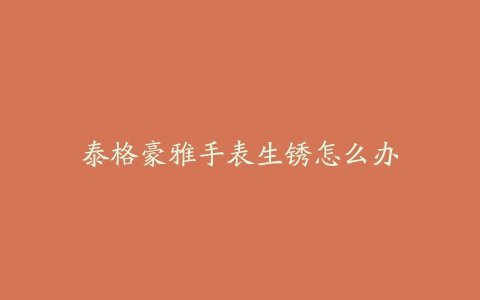 泰格豪雅手表生锈怎么办