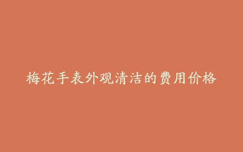 梅花手表外观清洁的费用价格