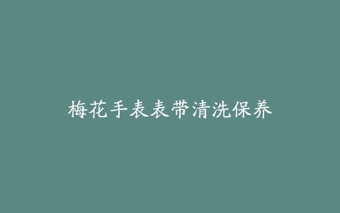 梅花手表表带清洗保养