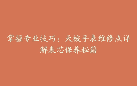 掌握专业技巧：天梭手表维修点详解表芯保养秘籍