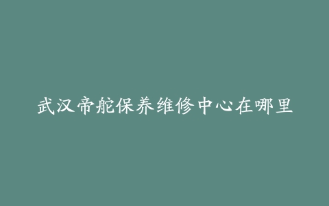 武汉帝舵保养维修中心在哪里