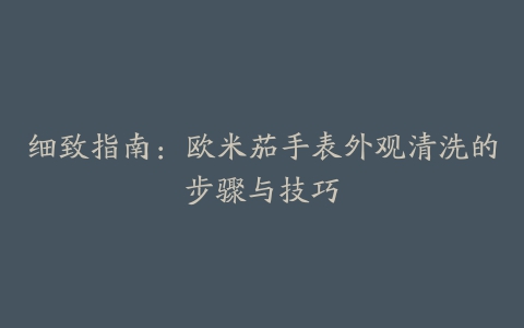 细致指南：欧米茄手表外观清洗的步骤与技巧