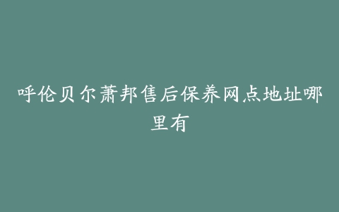 呼伦贝尔萧邦售后保养网点地址哪里有