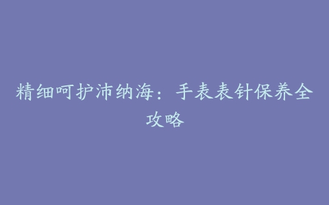 精细呵护沛纳海：手表表针保养全攻略