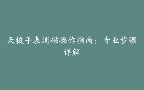 天梭手表消磁操作指南：专业步骤详解